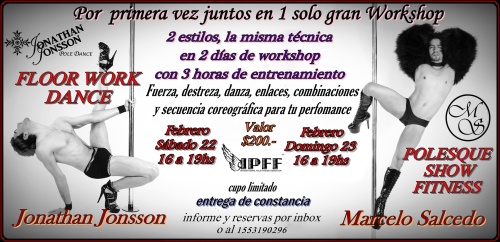 worksalcedo2014