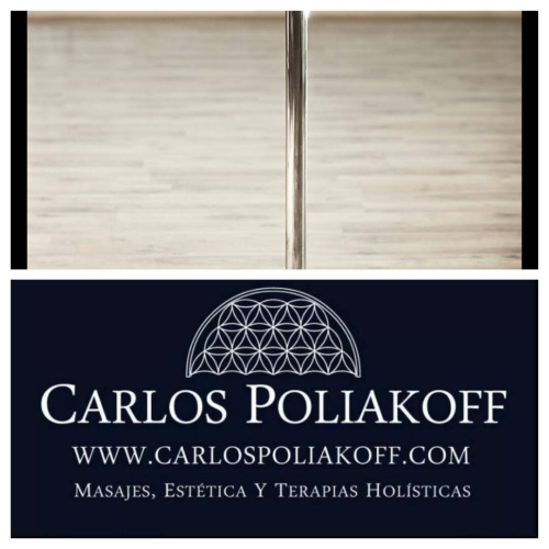 poliakoff2015b