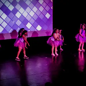 Muestra MyM DANZA - Foto 209 (2015)