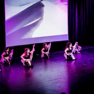 Muestra MyM DANZA - Foto 300 (2015)
