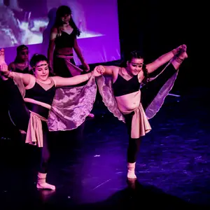 Muestra MyM DANZA - Foto 306 (2015)