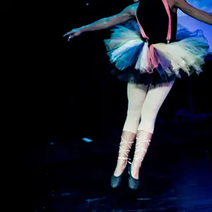 Muestra MyM DANZA - Foto 398 (2015)
