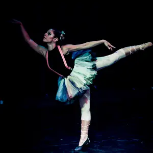 Muestra MyM DANZA - Foto 399 (2015)