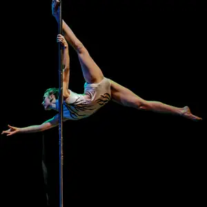Muestra School of Pole - Foto 409 (2016)