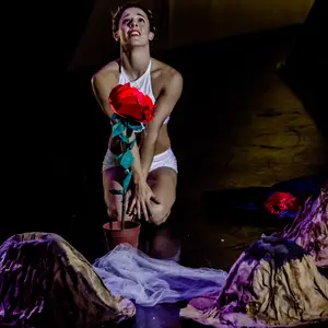 Pole Theatre Argentina 2016 - Foto 119 (2016)