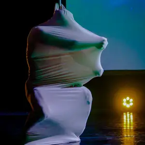 Pole Theatre Argentina 2017 - Foto 180 (2017)