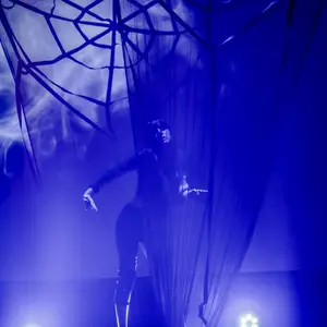 Pole Theatre Argentina 2017 - Foto 191 (2017)